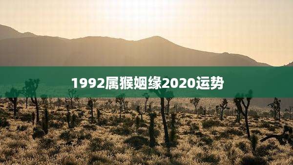 1992属猴姻缘2020运势