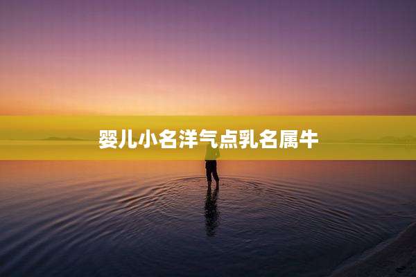 婴儿小名洋气点乳名属牛