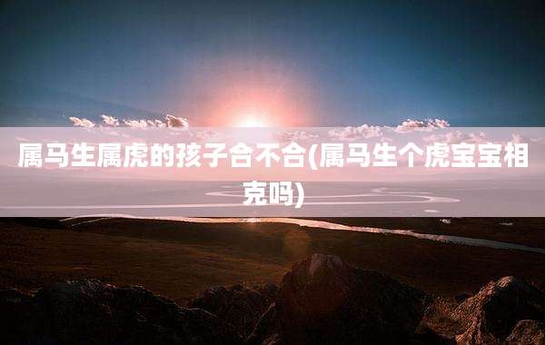 属马生属虎的孩子合不合(属马生个虎宝宝相克吗)