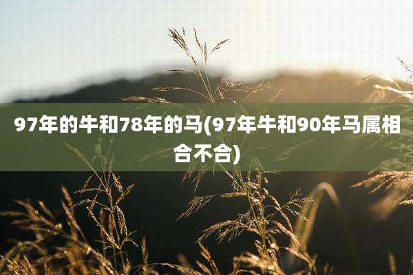 97年的牛和78年的马(97年牛和90年马属相合不合)