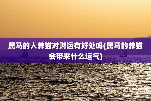 属马的人养猫对财运有好处吗(属马的养猫会带来什么运气)