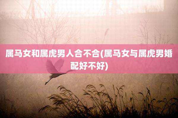 属马女和属虎男人合不合(属马女与属虎男婚配好不好)