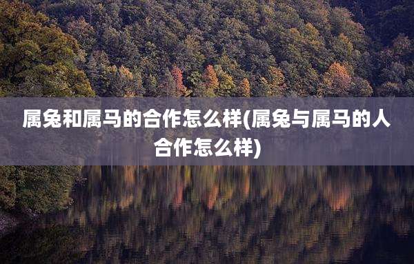 属兔和属马的合作怎么样(属兔与属马的人合作怎么样)