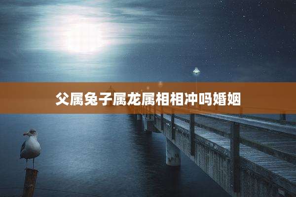 父属兔子属龙属相相冲吗婚姻
