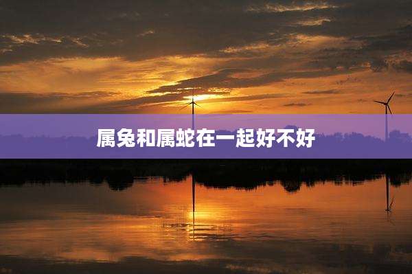 属兔和属蛇在一起好不好