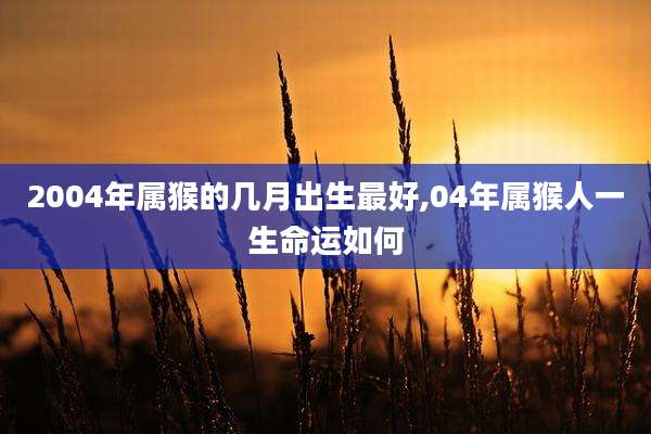 2004年属猴的几月出生最好,04年属猴人一生命运如何