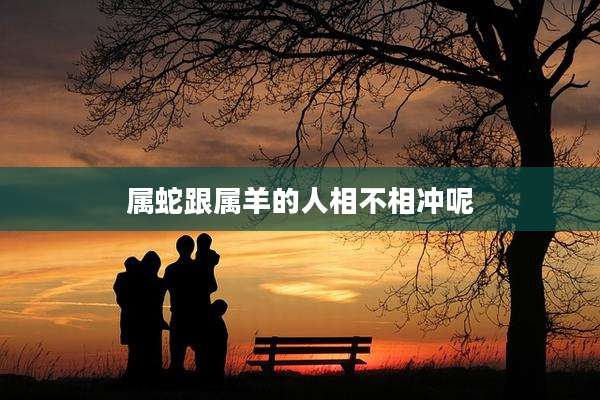 属蛇跟属羊的人相不相冲呢