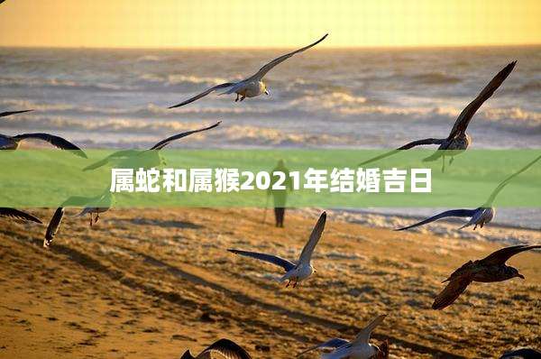 属蛇和属猴2021年结婚吉日