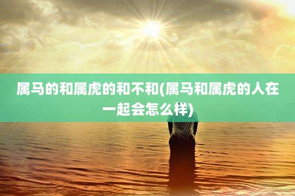 属马的和属虎的和不和(属马和属虎的人在一起会怎么样)