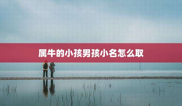 属牛的小孩男孩小名怎么取