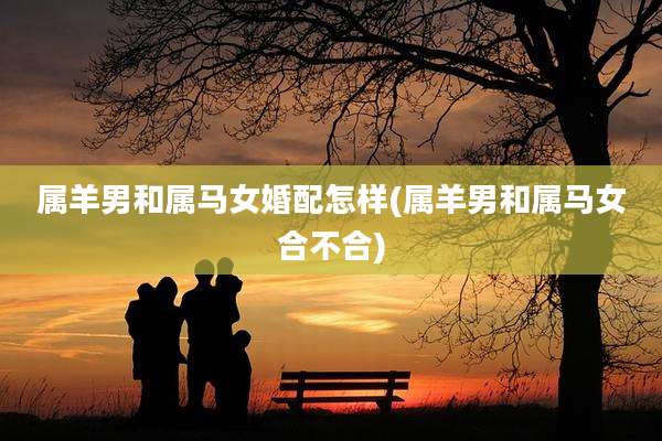 属羊男和属马女婚配怎样(属羊男和属马女合不合)