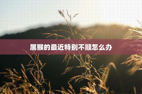 属猴的最近特别不顺怎么办