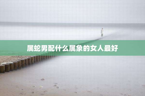 属蛇男配什么属象的女人最好