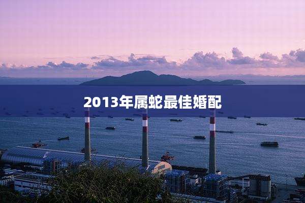 2013年属蛇最佳婚配
