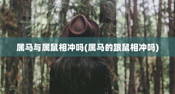 属马与属鼠相冲吗(属马的跟鼠相冲吗)