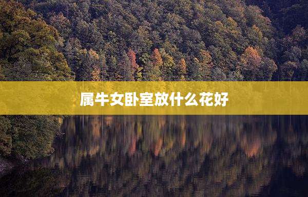 属牛女卧室放什么花好