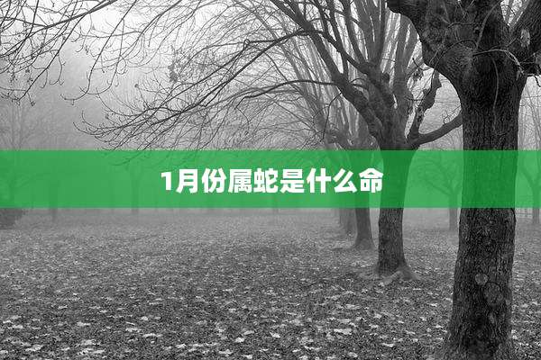 1月份属蛇是什么命
