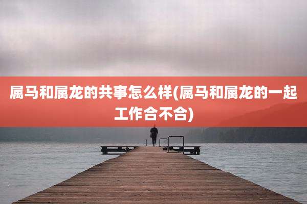 属马和属龙的共事怎么样(属马和属龙的一起工作合不合)