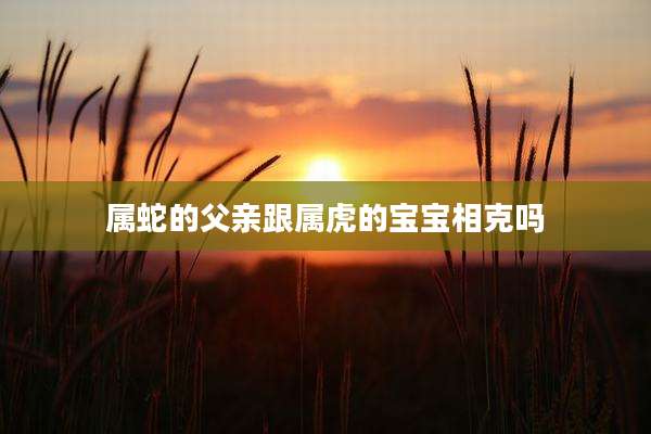 属蛇的父亲跟属虎的宝宝相克吗