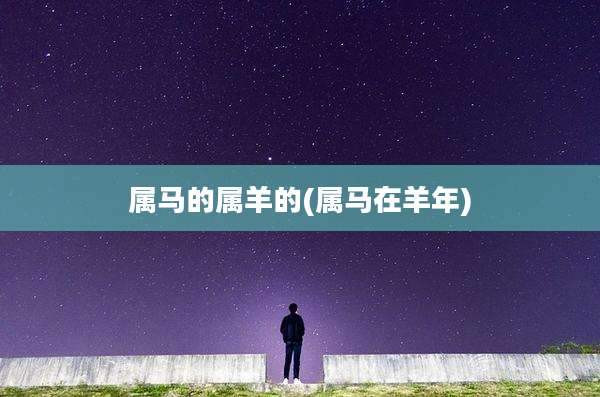属马的属羊的(属马在羊年)