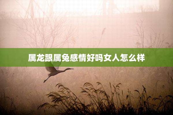 属龙跟属兔感情好吗女人怎么样