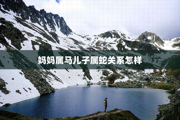 妈妈属马儿子属蛇关系怎样