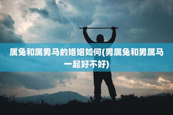 属兔和属男马的婚姻如何(男属兔和男属马一起好不好)