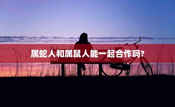 属蛇人和属鼠人能一起合作吗?
