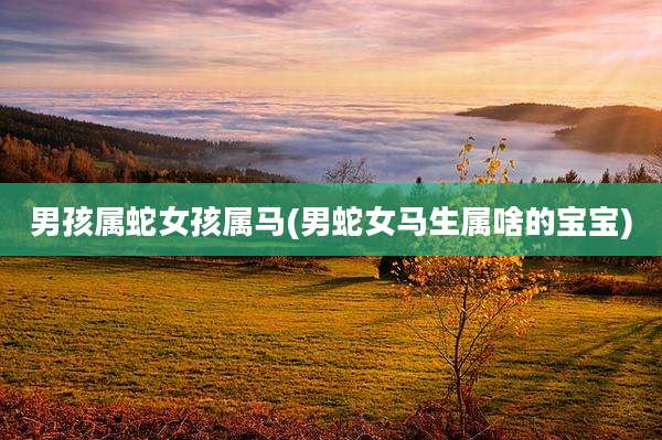 男孩属蛇女孩属马(男蛇女马生属啥的宝宝)