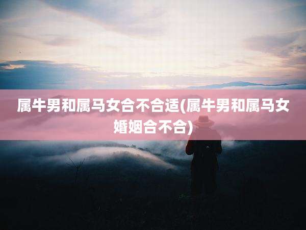 属牛男和属马女合不合适(属牛男和属马女婚姻合不合)