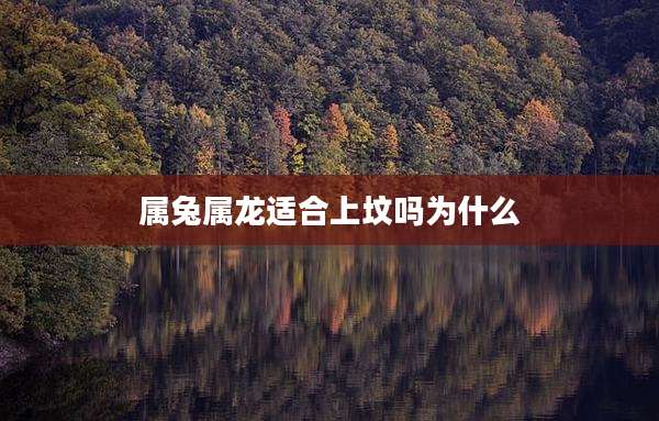 属兔属龙适合上坟吗为什么
