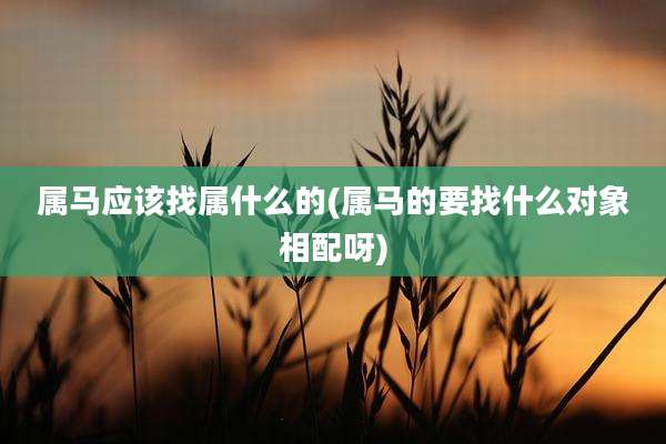 属马应该找属什么的(属马的要找什么对象相配呀)