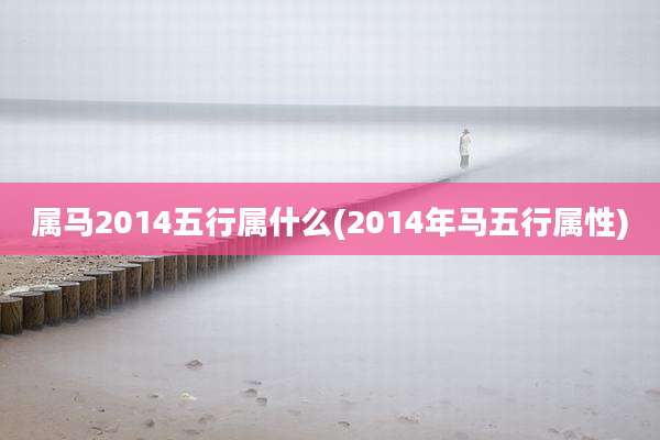 属马2014五行属什么(2014年马五行属性)