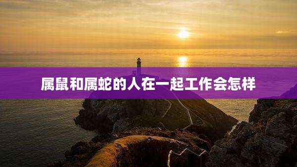 属鼠和属蛇的人在一起工作会怎样