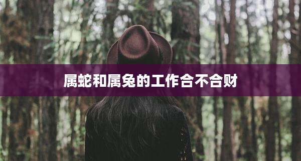 属蛇和属兔的工作合不合财