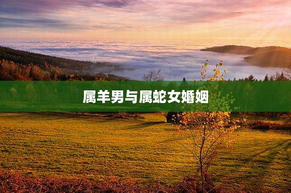 属羊男与属蛇女婚姻