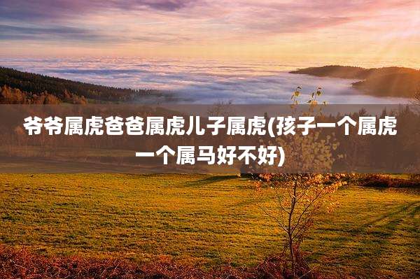 爷爷属虎爸爸属虎儿子属虎(孩子一个属虎一个属马好不好)