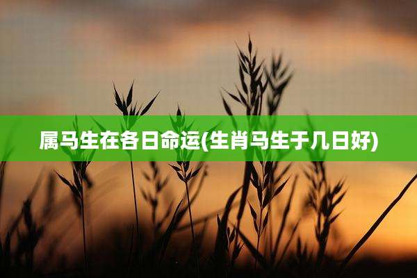属马生在各日命运(生肖马生于几日好)