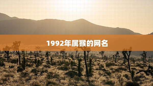1992年属猴的网名