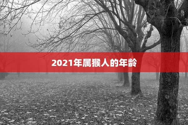2021年属猴人的年龄
