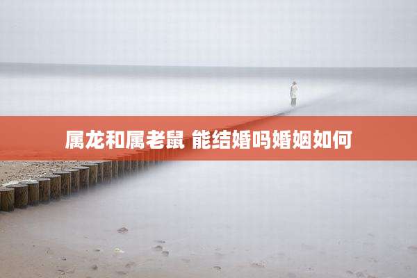 属龙和属老鼠 能结婚吗婚姻如何