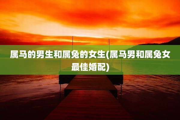 属马的男生和属兔的女生(属马男和属兔女最佳婚配)