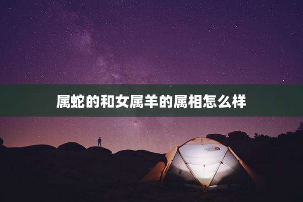 属蛇的和女属羊的属相怎么样