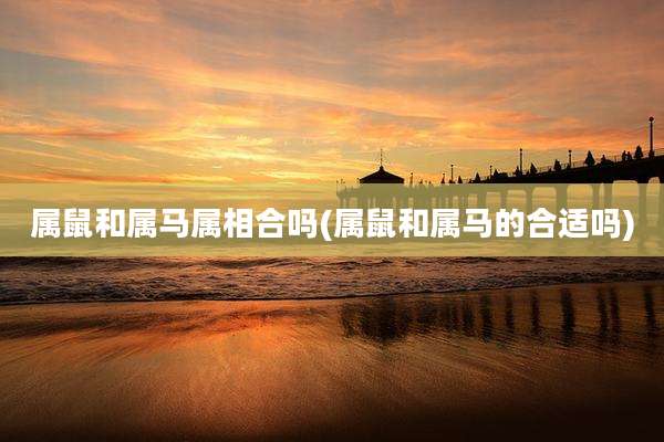 属鼠和属马属相合吗(属鼠和属马的合适吗)
