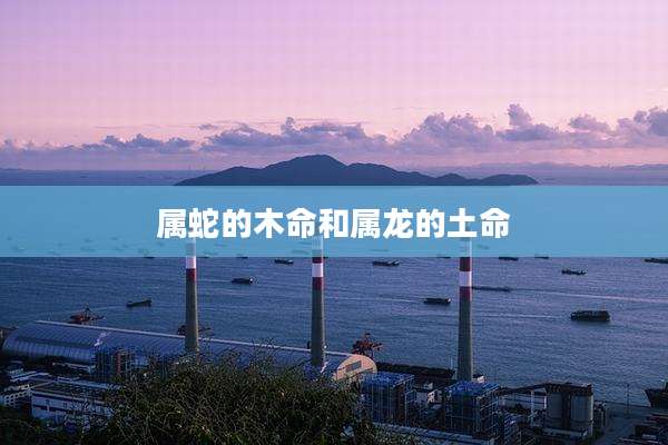 属蛇的木命和属龙的土命