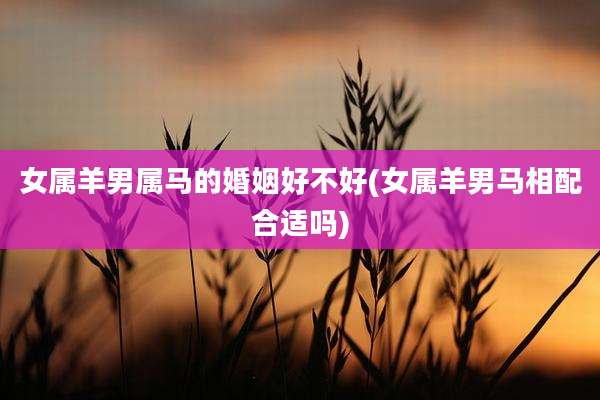 女属羊男属马的婚姻好不好(女属羊男马相配合适吗)