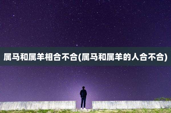 属马和属羊相合不合(属马和属羊的人合不合)