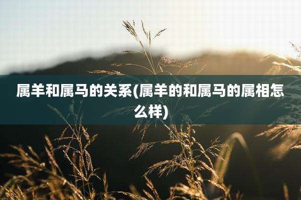 属羊和属马的关系(属羊的和属马的属相怎么样)