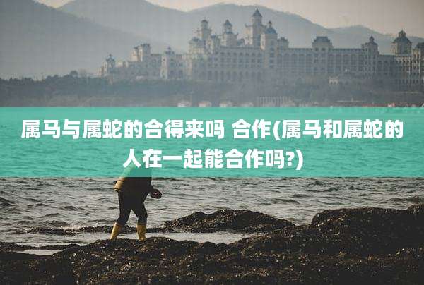 属马与属蛇的合得来吗 合作(属马和属蛇的人在一起能合作吗?)