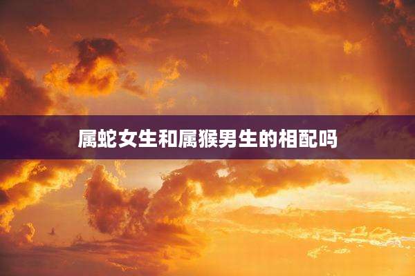 属蛇女生和属猴男生的相配吗